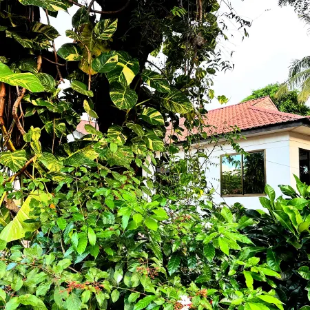 Elrad Msamvu Villa with Privacy by Monalisa