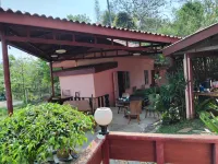 ข่วงนาฟาร์มวิว