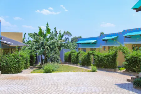 Kisoro comfort Inn