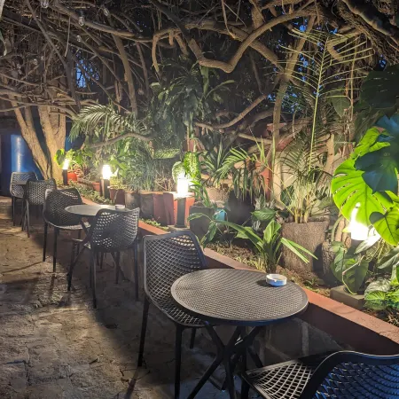 Hôtel Restaurant Shangai Отели рядом с достопримечательностью «Musee de l'Art et de l'Archeologie»
