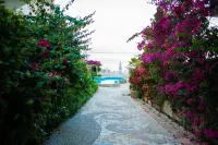 Bougainville Bay Hotel - Airport Shuttle