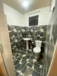 Eco Homes