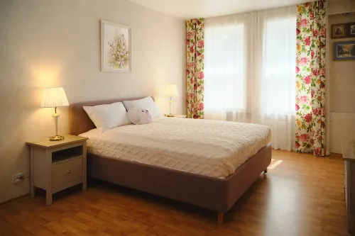 Comfortable apartment close to the Catherine Palace and Park - parking