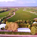 African Vineyard Boutique Hotel & Spa Upington فنادق في 