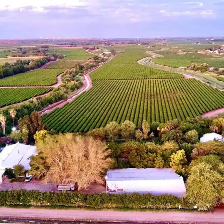 African Vineyard Boutique Hotel & Spa Upington Отели в г. Benede Oranje