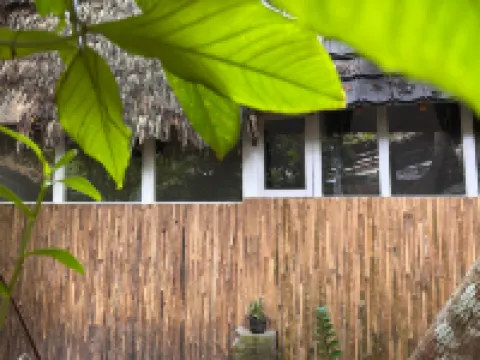 FrogHomestay