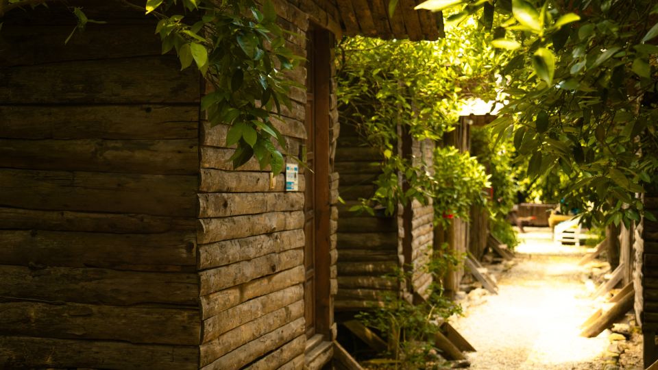 Olympos Yakamoz Pansiyon