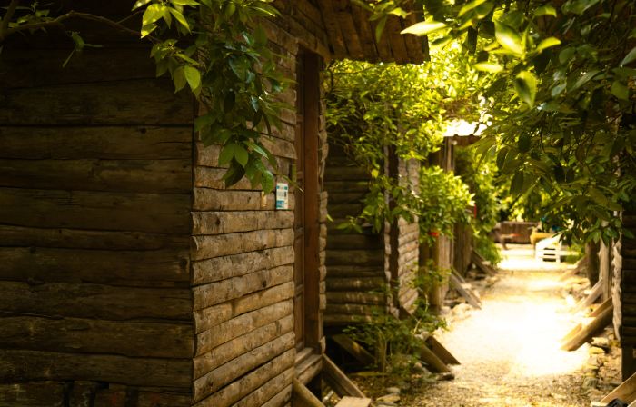 Olympos Yakamoz Pansiyon
