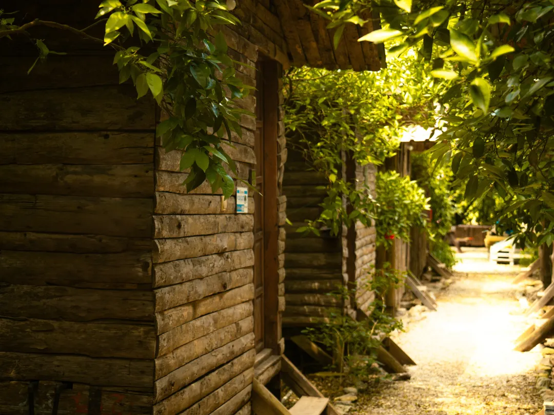 Olympos Yakamoz Pansiyon - Antalya Ili, Türkiye