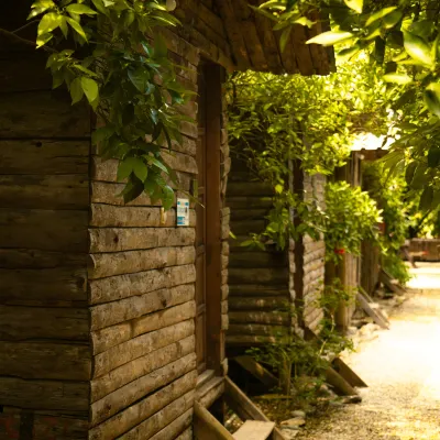 ياكاموز بانزيون Hotels near يانارتاش