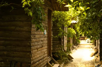 Olympos Yakamoz Pansiyon Hotels in 