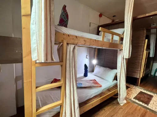 Alonabeach tourist inn - Hostels