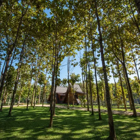 Angkhang Choeng Doi Garden Resort