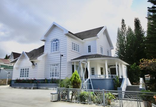 마이박 달랏 반려동물