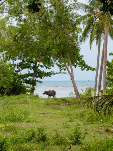 รูปภาพของคาร์บาน่า ลอดจ์ 2 ห้องนอน