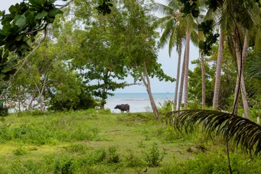 รูปภาพของคาร์บาน่า ลอดจ์ 2 ห้องนอน