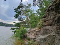 Cottage Blueberry near Macha Lake