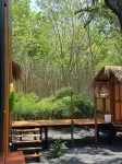 Thinn Lodge Phuket