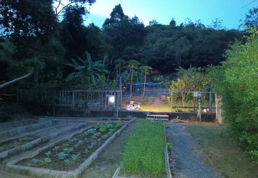 사무이 캐러밴 힐 캠프의 숙소 내부 또는 전용 해변