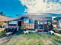 TeamV Kubo Guesthouse