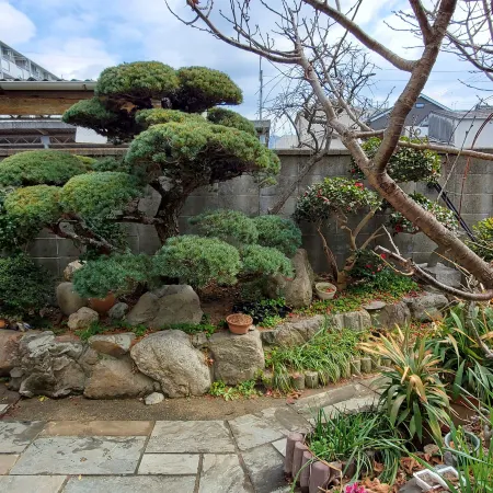 Camellia Guest House