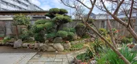 Camellia Guest House - Kitchens