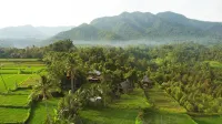 Sunset Sala Hotels in Singaraja