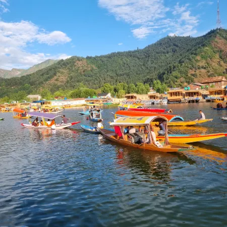 Iram Heritage group of Houseboat's