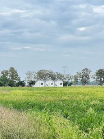 D Paddy HR Guest House