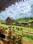 Tradisional house of papua - 2-Star