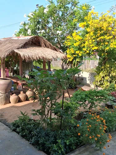 รูปภาพของThe little Geko house