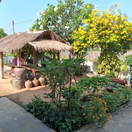 The little Geko house