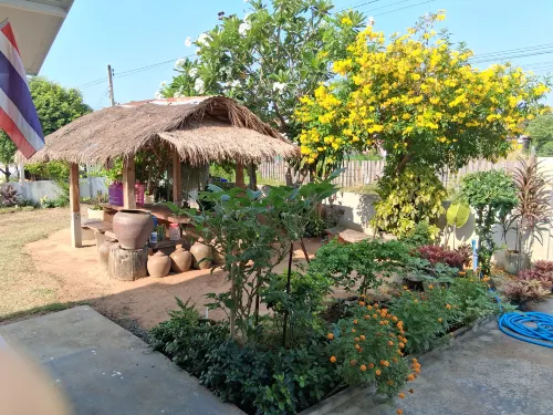 The little Geko house - New