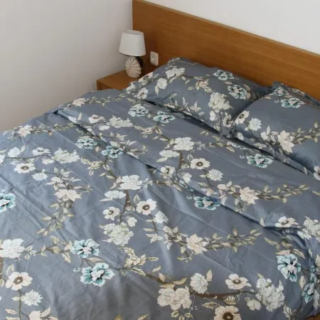 Luxury Budva Apartment