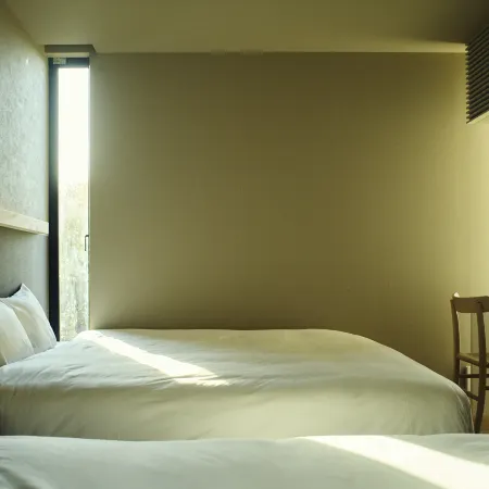 Hiire IZU OLIVE