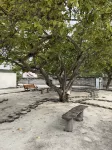 ViolInn, Out of Office MV - Parking