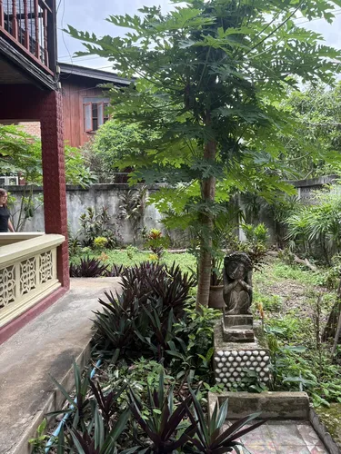 รูปภาพของบ้านวันสุข