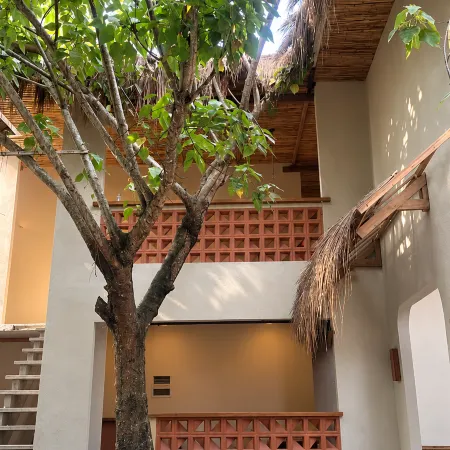 LAZY FINS HOSTEL