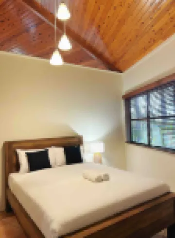 Tropical escape in central location/Entire house