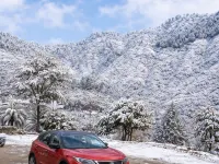Ekatma Stays, Kakrighat Hotels in Almora