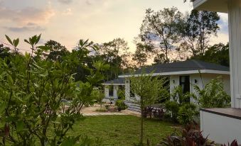 Cococreek Kohkood