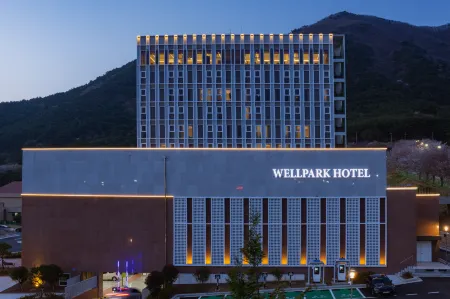 WELLPARK HOTEL GOCHANG Отели в г. Кочхан