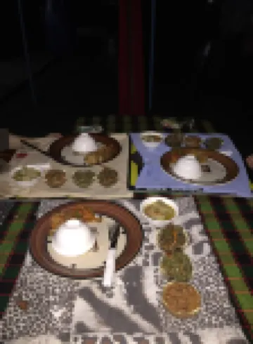 基奧塔叢林民宿