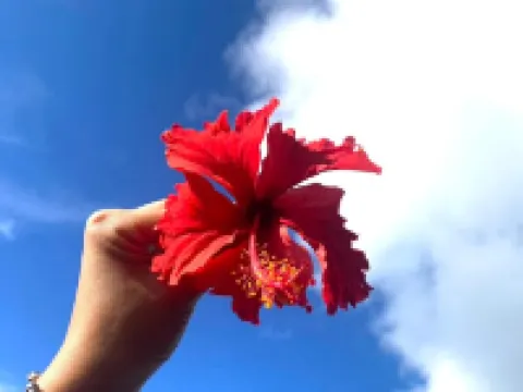 AkarenBanana House 喜界町酒店