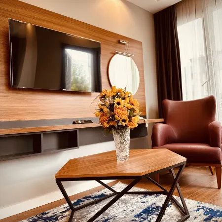 Golden Inn Airport-TRABZON