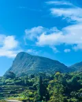 Bloomingdale Bungalows - Nuwaraeliya - Haustierfreundliche