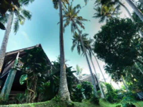Ubud Jungle Stay - Mahari by WAHM Villa Alamanda周辺のホテル
