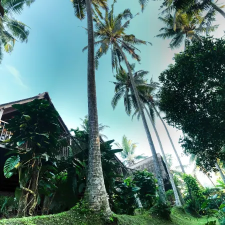 Ubud Jungle Stay - Mahari by WAHM