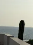 Casa Chirundo - Pet-friendly