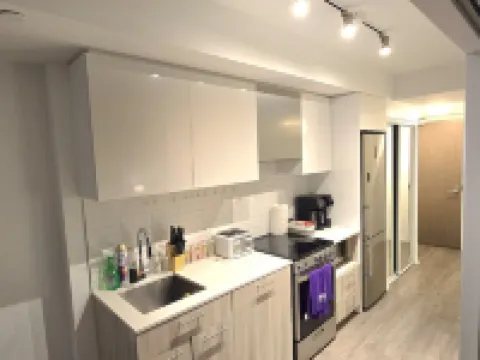 Stylish Luxe Apartment one bedroom with couch.